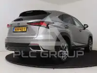 2020 Lexus NX300