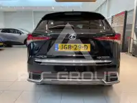 2020 Lexus NX300