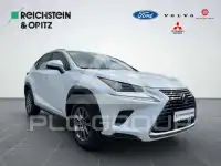 2020 Lexus NX300
