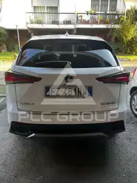 2020 Lexus NX300