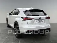 2020 Lexus NX300