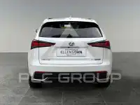 2020 Lexus NX300