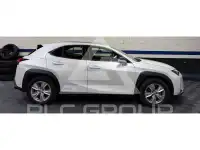 2020 Lexus Other