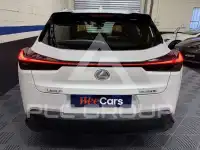2020 Lexus Other