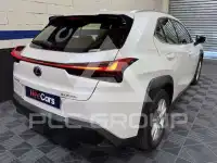 2020 Lexus Other