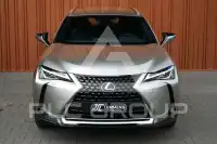 2020 Lexus UX
