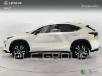 2020 Lexus NX200T