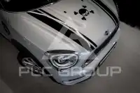 2020 Mini Unknown