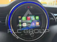 2020 Mini Unknown
