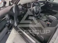 2020 Mini Unknown