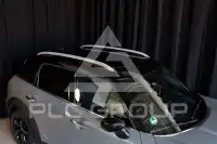 2020 Mini Unknown