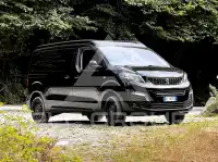 2020 Peugeot Traveller
