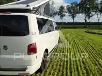 2020 Volkswagen T6