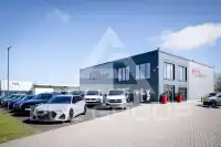 2020 Volkswagen T6