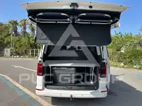 2020 Volkswagen T6