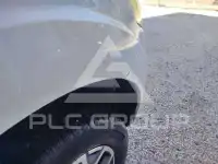 2020 Renault Alaskan