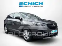 2020 Opel GrandlandX