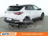 2020 Opel GrandlandX