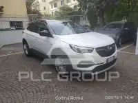 2020 Opel GrandlandX
