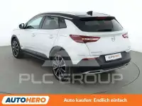 2020 Opel GrandlandX