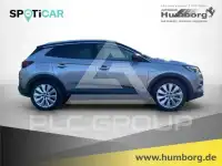 2020 Opel GrandlandX