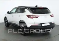 2020 Opel GrandlandX