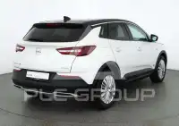 2020 Opel GrandlandX