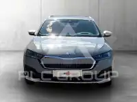 2021 Skoda Octavia