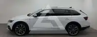 2021 Skoda Octavia