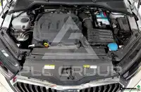 2021 Skoda Octavia