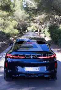 2021 BMW X6