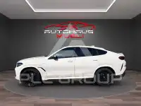 2021 BMW X6