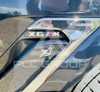 2021 BMW X6