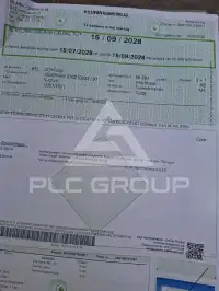 2021 Suzuki Ignis