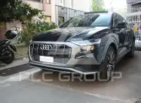 2021 Audi Q8