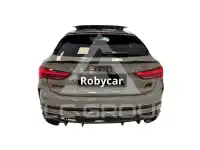 2021 Audi RSQ3