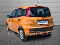 2021 Fiat Panda