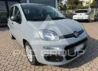 2021 Fiat Panda