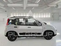 2021 Fiat Panda