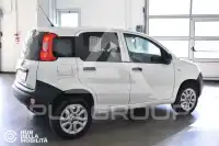 2021 Fiat Panda