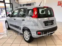2021 Fiat Panda