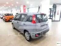 2021 Fiat Panda