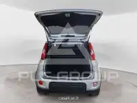 2021 Fiat Panda
