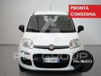 2021 Fiat Panda