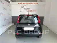 2021 Fiat Panda