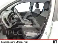 2021 Fiat Panda