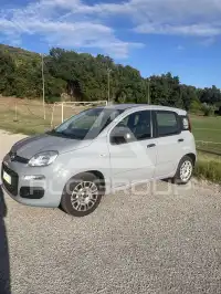 2021 Fiat Panda