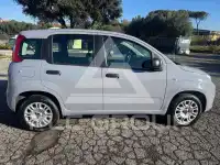 2021 Fiat Panda
