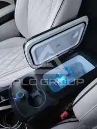 2021 Mercedes Benz V 300