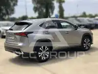 2021 Lexus NX300
